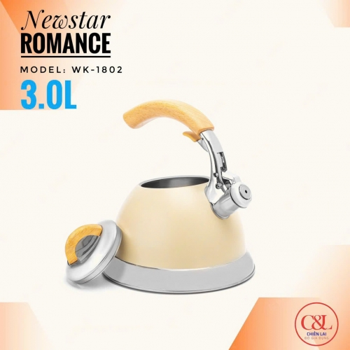 Ấm Newstar đun từ 3L inox 304 WK-1802